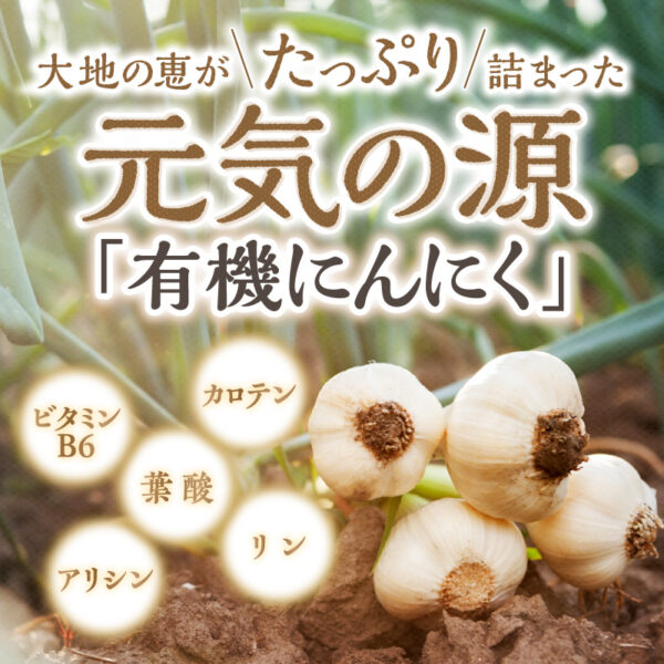 熟成にんにく卵黄PX - 画像 (4)