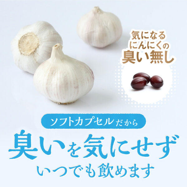 熟成にんにく卵黄PX - 画像 (7)